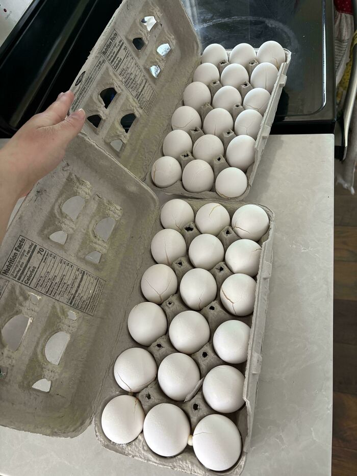 Two egg cartons filled with c*****d eggs showing mildly infuriating damage testing people's patience.