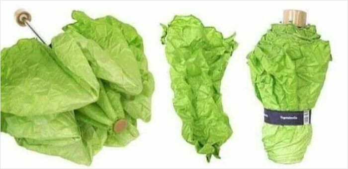 Collapsible umbrella designed to look like a romaine lettuce, one of the weirdest purchases people would make in a heartbeat.