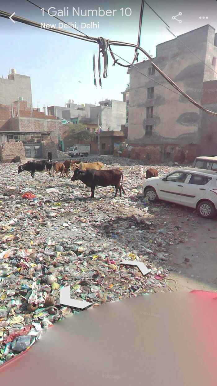 Urban hell scene in New Delhi showing trash-covered land with cows and rundown buildings in a $58 billion ghost city.