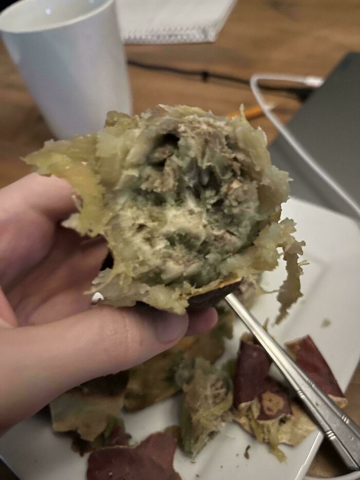 Close-up of an unappetizing food item with mold growth, illustrating unholy food pics that look anything but appetizing.
