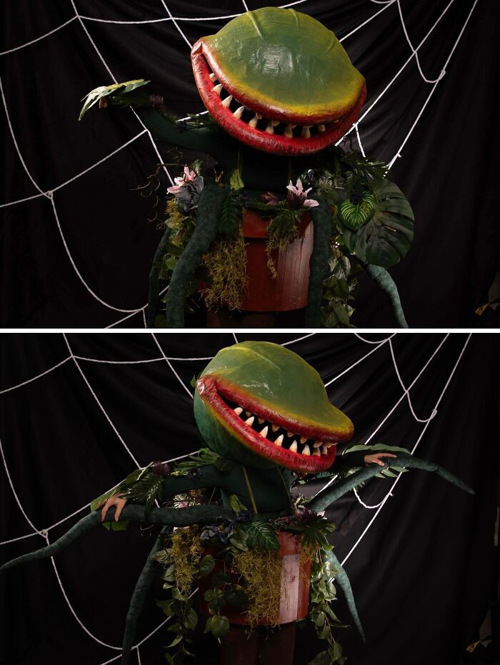 Person wearing a creative Halloween costume as a large carnivorous plant with green spider web background.