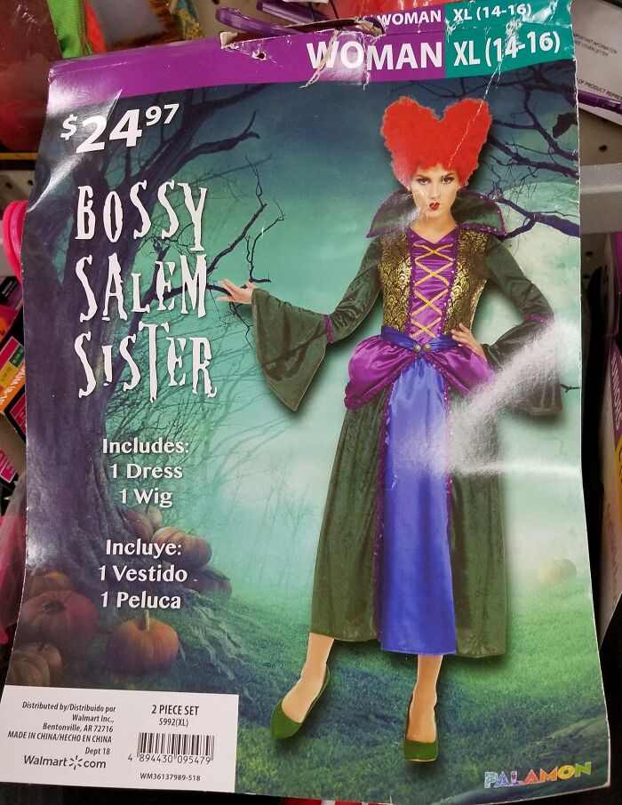 Off-brand Halloween costume packaging showing a woman in a Bossy Salem Sister dress and wig, priced at $24.97.