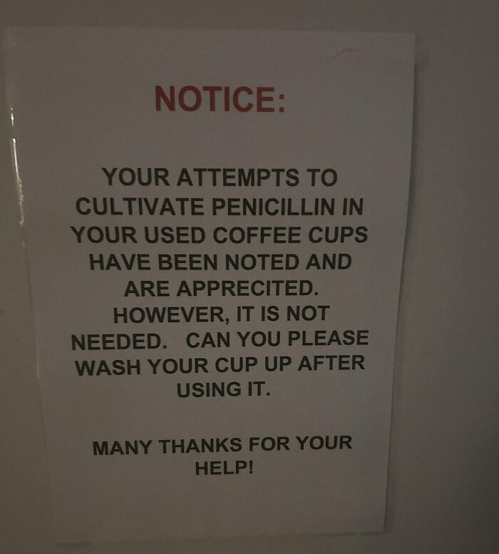 Passive-aggressive coworker note sarcastically asking to wash used coffee cups to prevent penicillin growth.