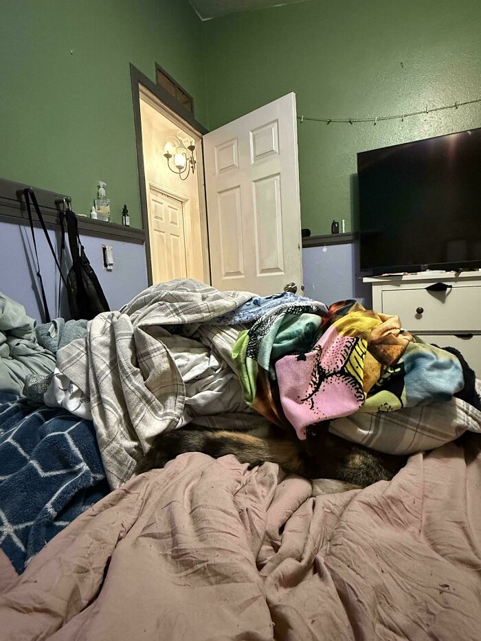 A cat seamlessly merged into the background, blending perfectly with a pile of blankets and bedding in a bedroom.