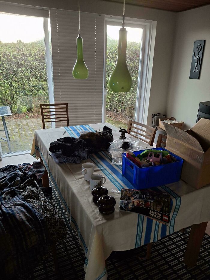 Cat blending into dark clothes on a cluttered dining table showcasing cats seamlessly merged into the background.