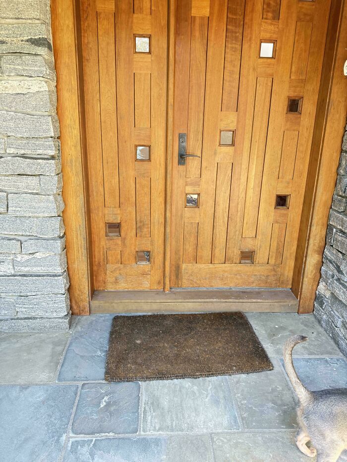 Cat blending seamlessly with the stone floor near wooden door, showing perfect camouflage with the background.