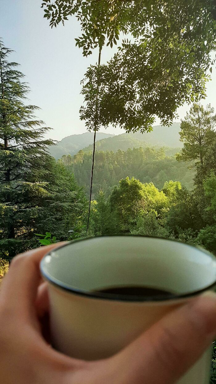 Hand holding a cup of coffee overlooking a green forest and hills, representing simple living and appreciating less.