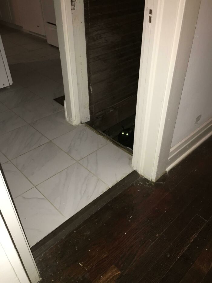 Black cat with glowing eyes blending into a dark corner under stairs, perfectly merged into the background indoors.