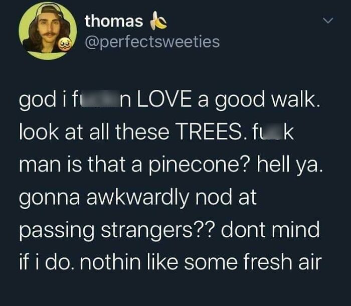 Man expressing love for a simple walk appreciating trees, pinecones, fresh air, and nodding at strangers in nature.