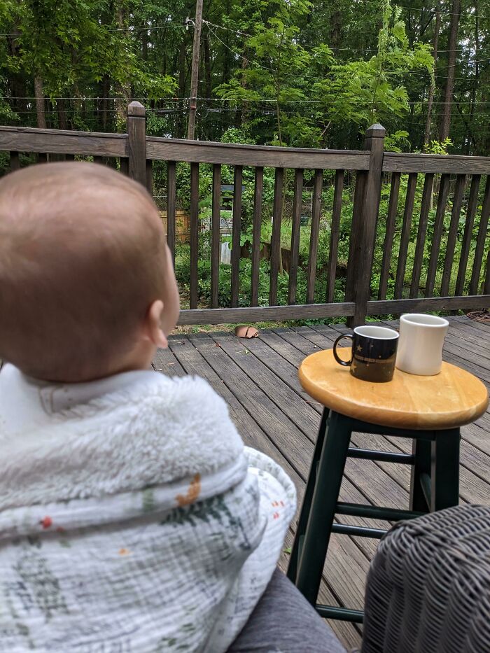 Baby wrapped in a blanket sitting on a porch, overlooking trees and a wooden deck with two coffee mugs on a stool.