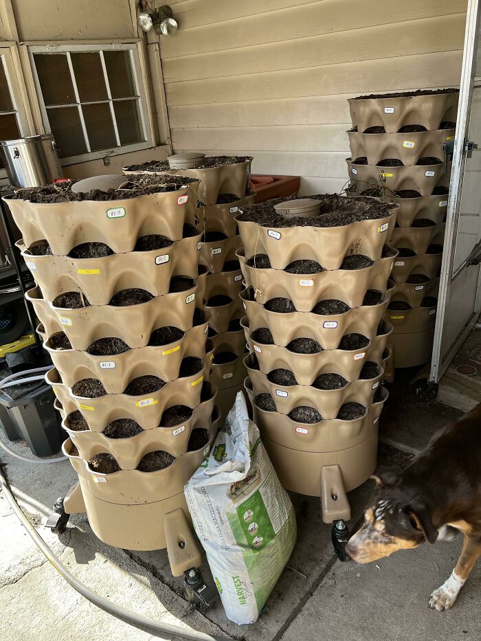 Stacked soil-filled planters in a simple living space, emphasizing minimalist gardening and appreciating having less clutter.