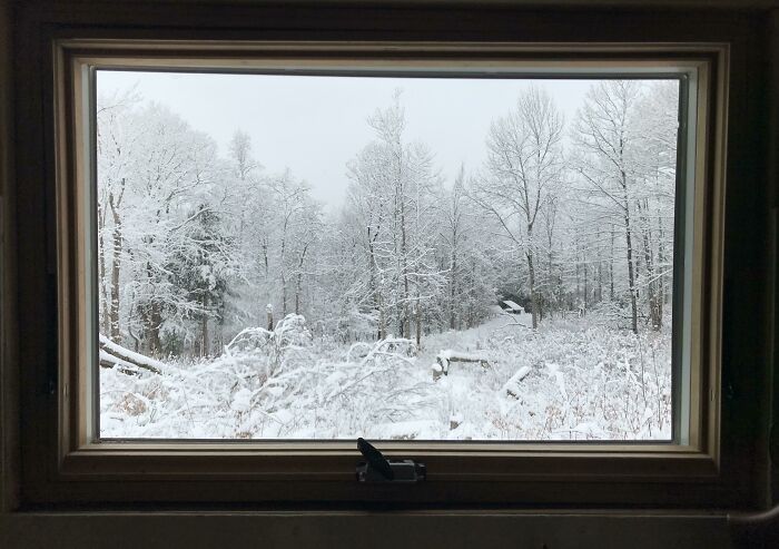 View of a snowy forest landscape through a window, illustrating simple living and appreciating nature's quiet beauty.