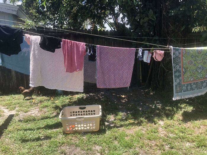 Clothes hanging on a line outside to dry on a sunny day, illustrating simple living and minimalism outdoors.