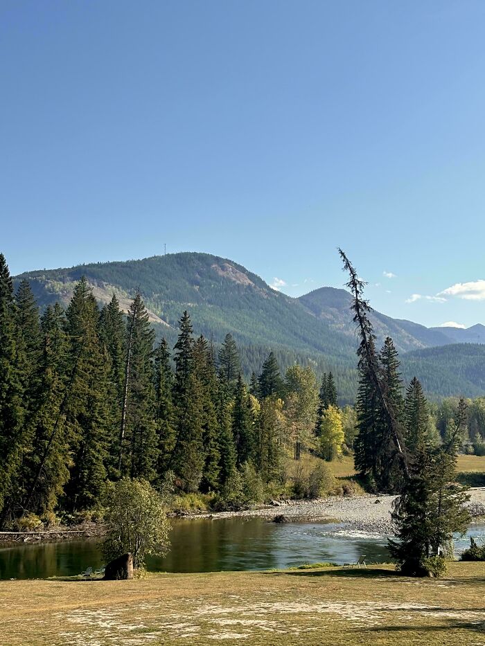 Peaceful river scene surrounded by pine trees and mountains, illustrating simple living in nature’s calm environment.