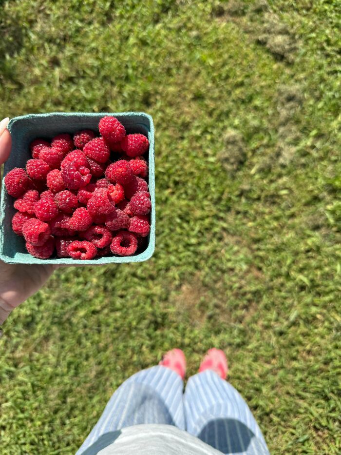 Hand holding a small container of fresh raspberries over grass, illustrating simple living and appreciating having less.