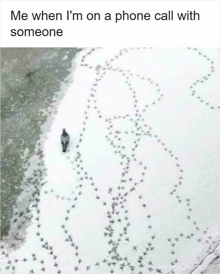 Bird standing on snow with many confusing bird footprints, illustrating specific moments in our lives that aren’t original experiences.