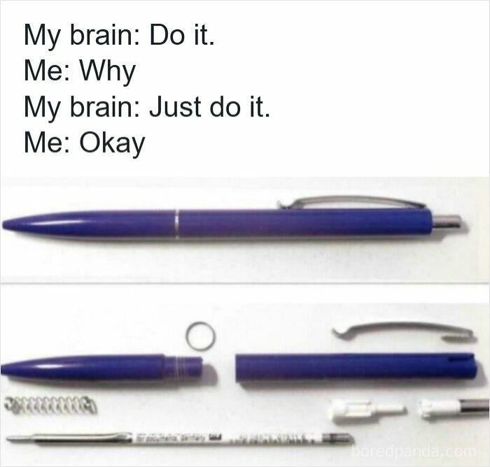 Blue pen intact and fully disassembled parts shown, illustrating a common specific moment in our lives that aren’t original experience.