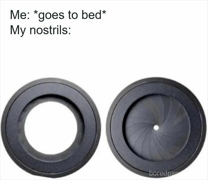 Nostril behavior depicted with camera shutter analogy, illustrating specific moments in our lives that aren’t an original experience.