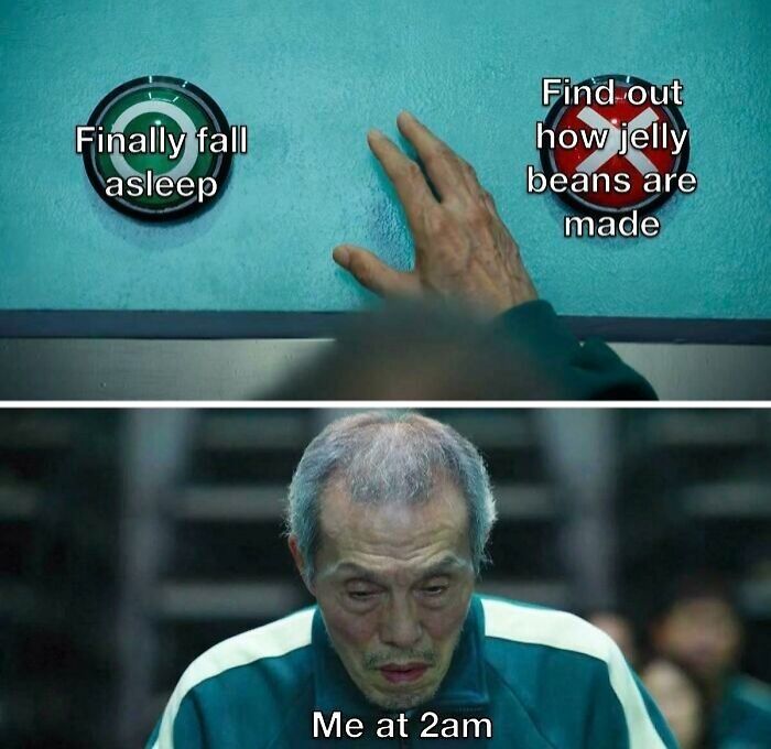 Man struggling to sleep at 2am, choosing between falling asleep or learning how jelly beans are made, insomnia memes.
