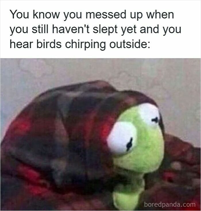 Sleep-deprived Kermit wrapped in a blanket, wide-eyed and awake at dawn, illustrating insomnia humor and restlessness.