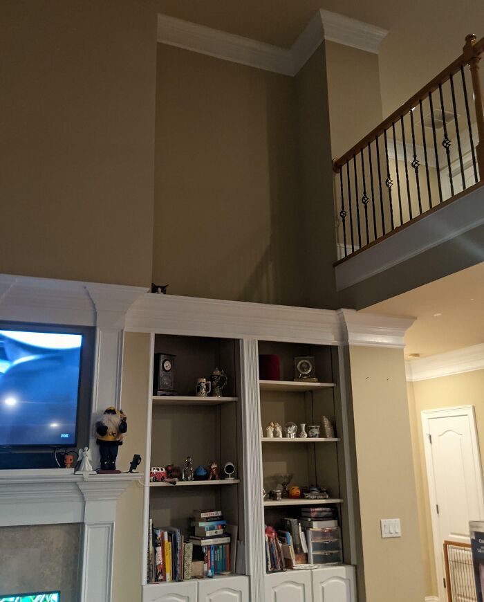 Cat blending into beige wall background above built-in shelves in a cozy living room with high ceilings.
