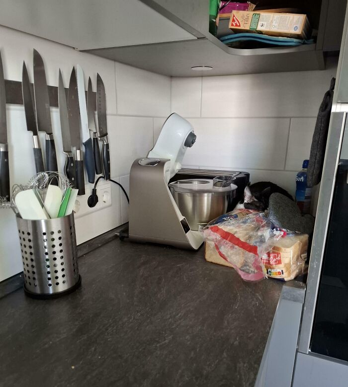 Black and white cat seamlessly merged into the background on a kitchen counter among appliances and bread bags.