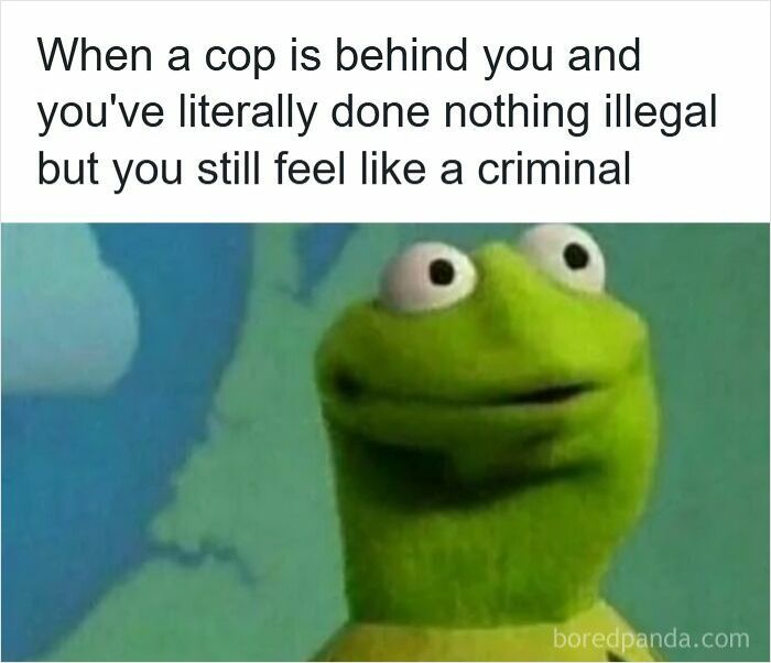 Meme showing Kermit looking uneasy with text about feeling like a criminal despite doing nothing illegal, related to driving memes.