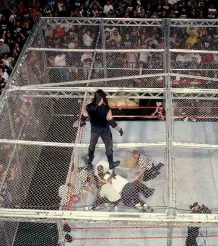 Wrestler standing in a cage ring with fallen referees inside, surrounded by a crowd in a fascinating photo scene.