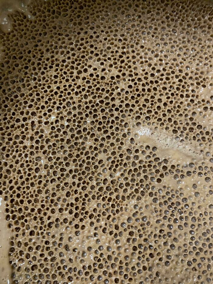 Close-up of dense cluster of small holes creating a texture that triggers trypophobia discomfort in sensitive viewers.