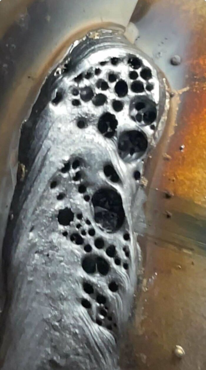 Close-up of a silver surface with numerous irregular holes, triggering trypophobia reactions in sensitive viewers.