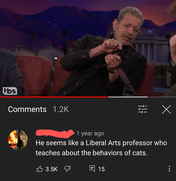 Actor Jeff Goldblum on a talk show with a humorous YouTube comment about cats in the video comments section.