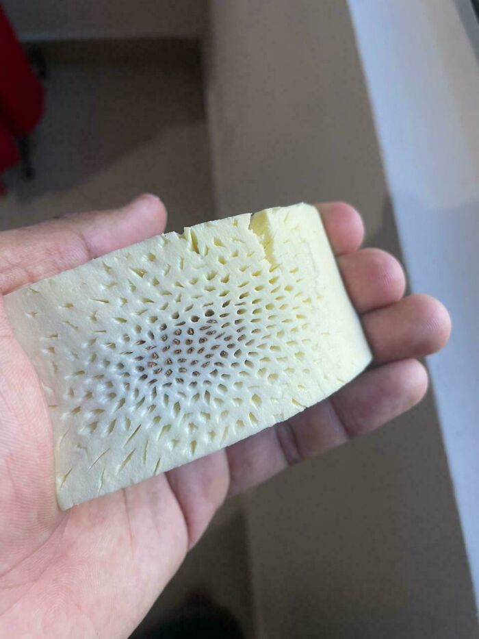 Hand holding a porous, spongy object with a repetitive hole pattern, triggering trypophobia discomfort.