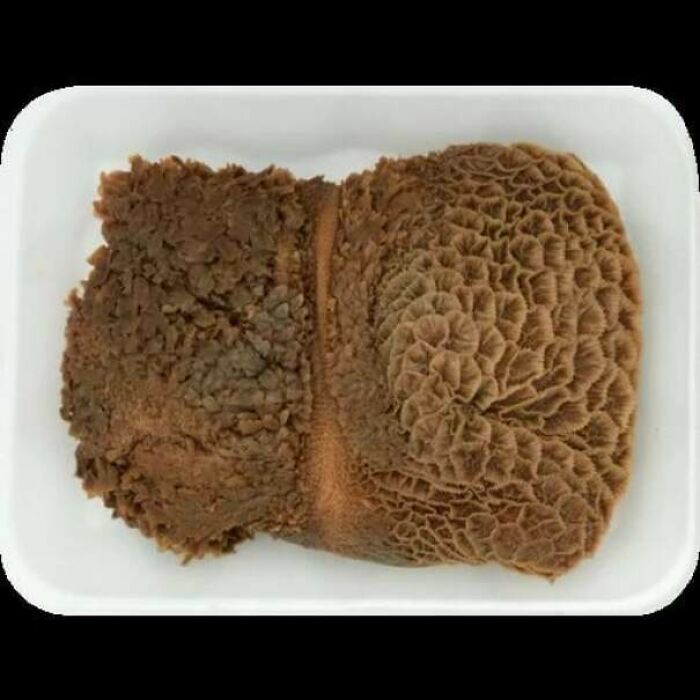 Close-up of brown textured surface with clustered patterns, a harmless-looking pic that triggers trypophobia discomfort.