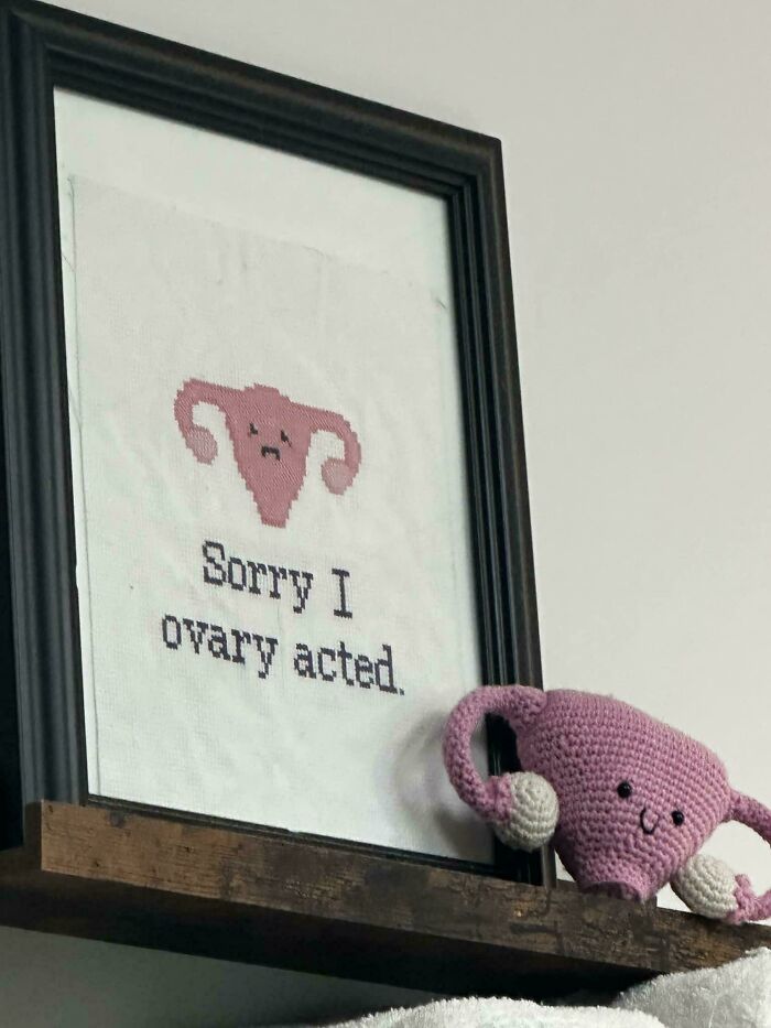 Framed humorous cross-stitch and crocheted uterus toy showing wholesome things doctors did to put patients at ease.