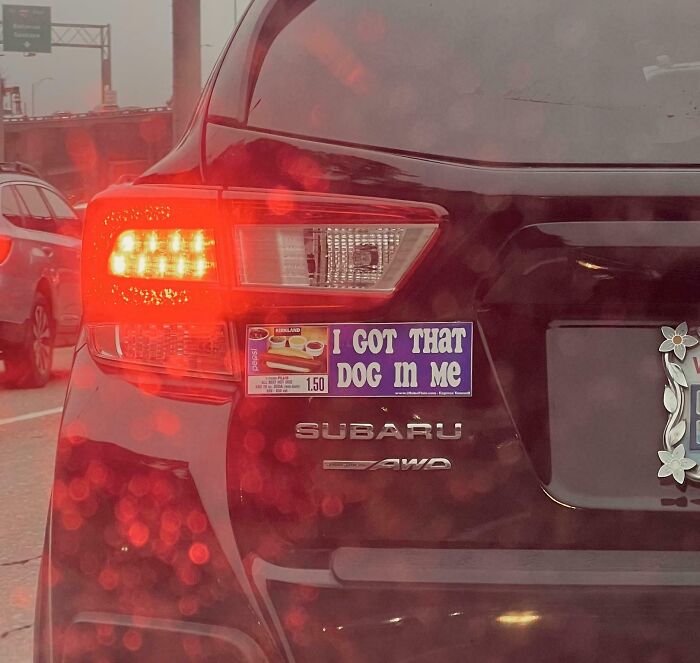 Funny bumper sticker on a Subaru car reading I got that dog in me, spotted by drivers on the road.