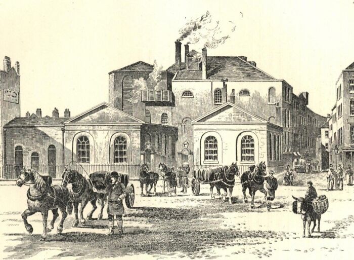 Vintage drawing of a historical town scene with horses and people, illustrating rabbits once attacked Napoleon story.