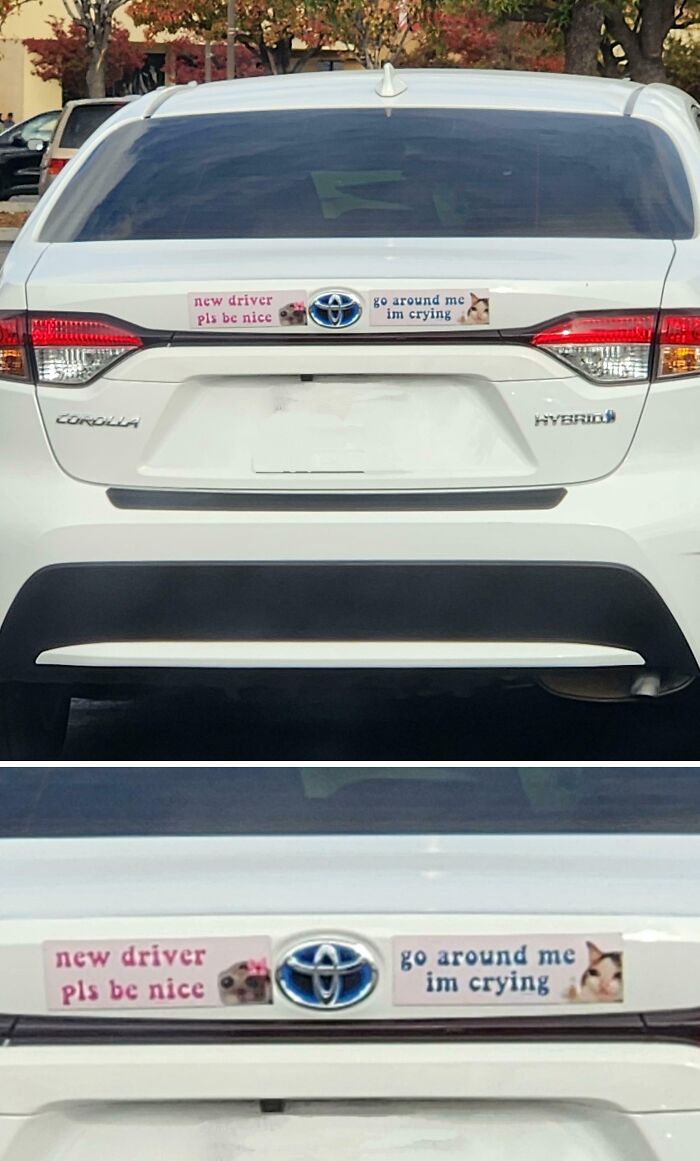 White Toyota Corolla with clever and hilarious bumper stickers saying new driver pls be nice and go around me im crying.
