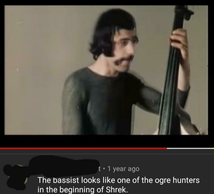 Man playing double bass with a hilarious YouTube comment comparing bassist to an ogre hunter from Shrek.