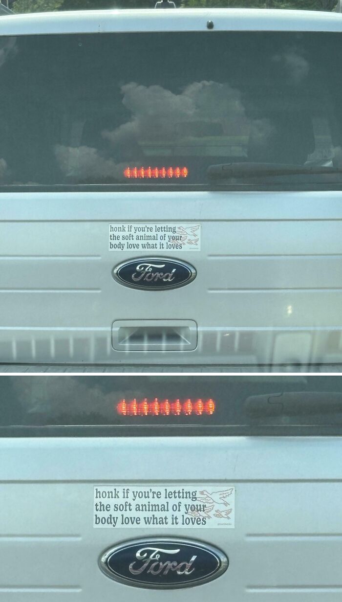 White Ford vehicle with a funny bumper sticker that reads honk if you're letting the soft animal of your body love what it loves.