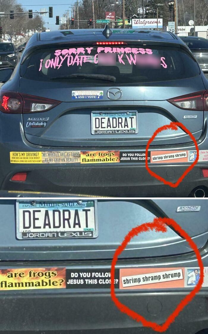 Blue Mazda with multiple funny bumper stickers, including a humorous shrimp sticker, shared by drivers spotting funny bumper stickers.