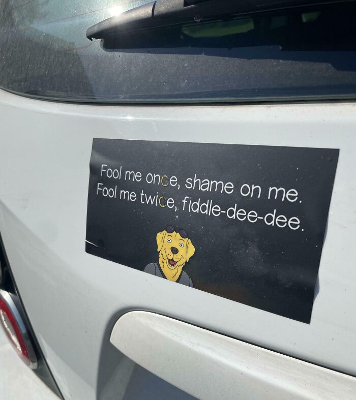 Funny bumper sticker on a white car with a cartoon dog and the phrase about being fooled twice, spotted by drivers on the road.