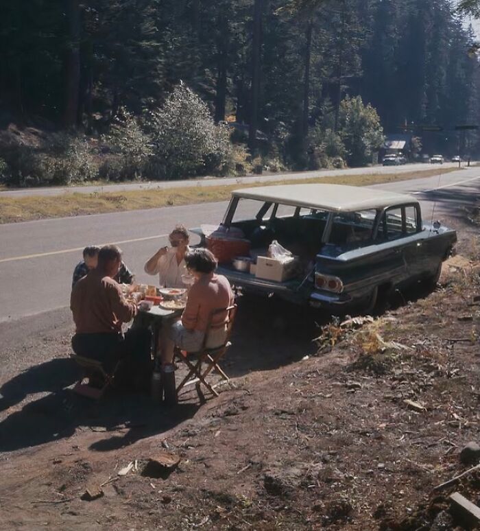 Group having a roadside picnic near a vintage car in a forest setting, capturing vacation pics from a time before cell phone cameras.