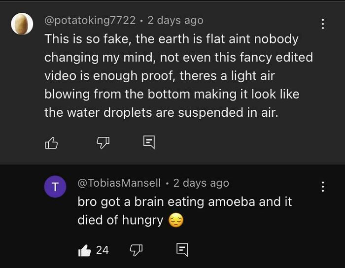 YouTube comments debate flat earth with humorous replies in a screenshot of hilarious YouTube comments.