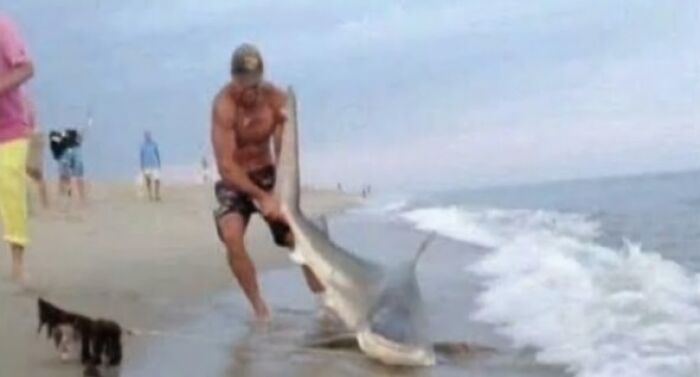 A muscular man on the beach showing men are good by helping a large shark back into the ocean.