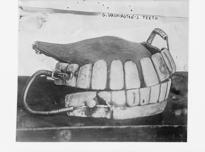 Historic dentures labeled G Washington's Teeth displayed on a wooden surface related to shocking history stories.