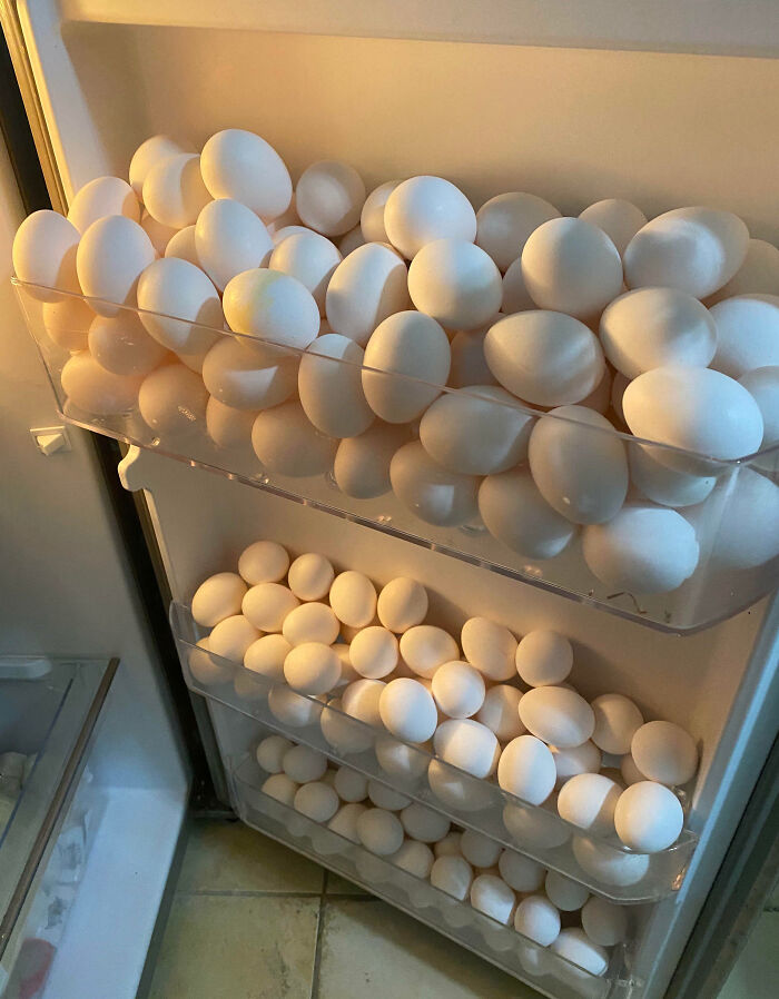 Refrigerator door compartments completely filled with white eggs in a weird and blessed cursed arrangement.