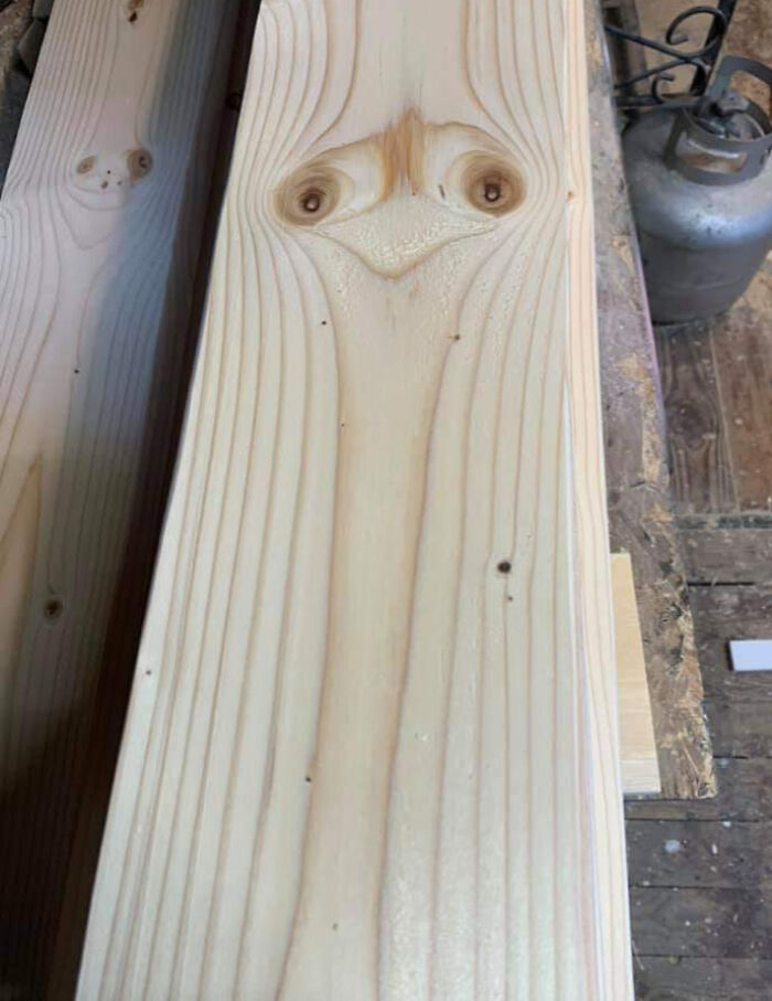 Wood plank with natural grain knots resembling a weird face, fitting the theme of blessed and cursed pics.