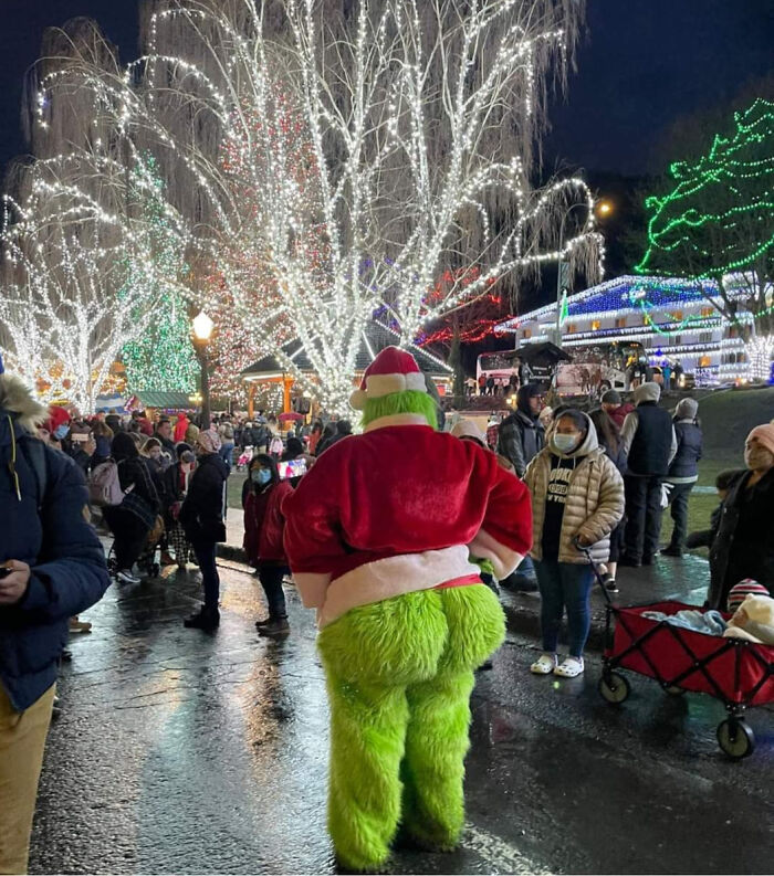 Person in a weird Grinch costume posing at a crowded holiday light display with glowing trees and festive decorations at night.
