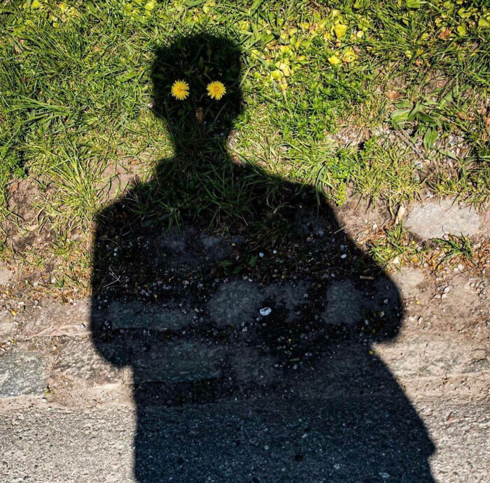 Shadow of a person on grass with two yellow flowers positioned like eyes, creating a weird and blessed photo effect.