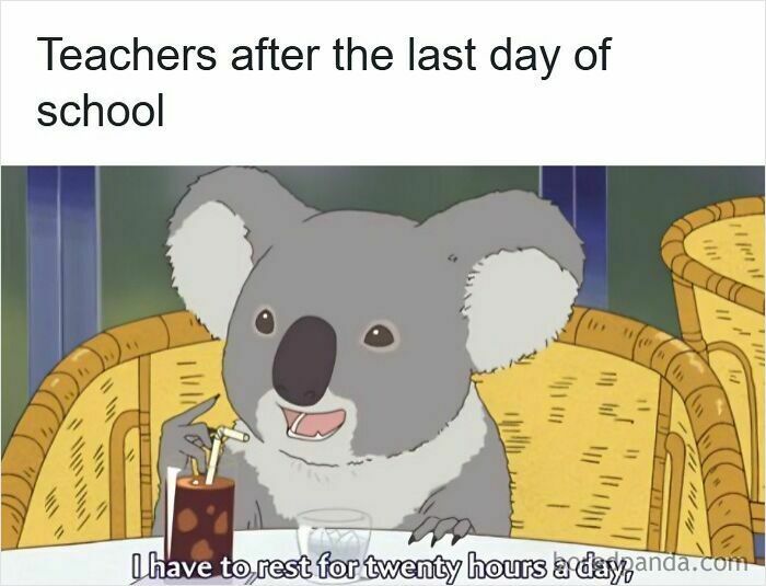 Cartoon koala relaxing with a drink at a table, representing teachers needing a nap after the last day of school, funny memes for teachers.